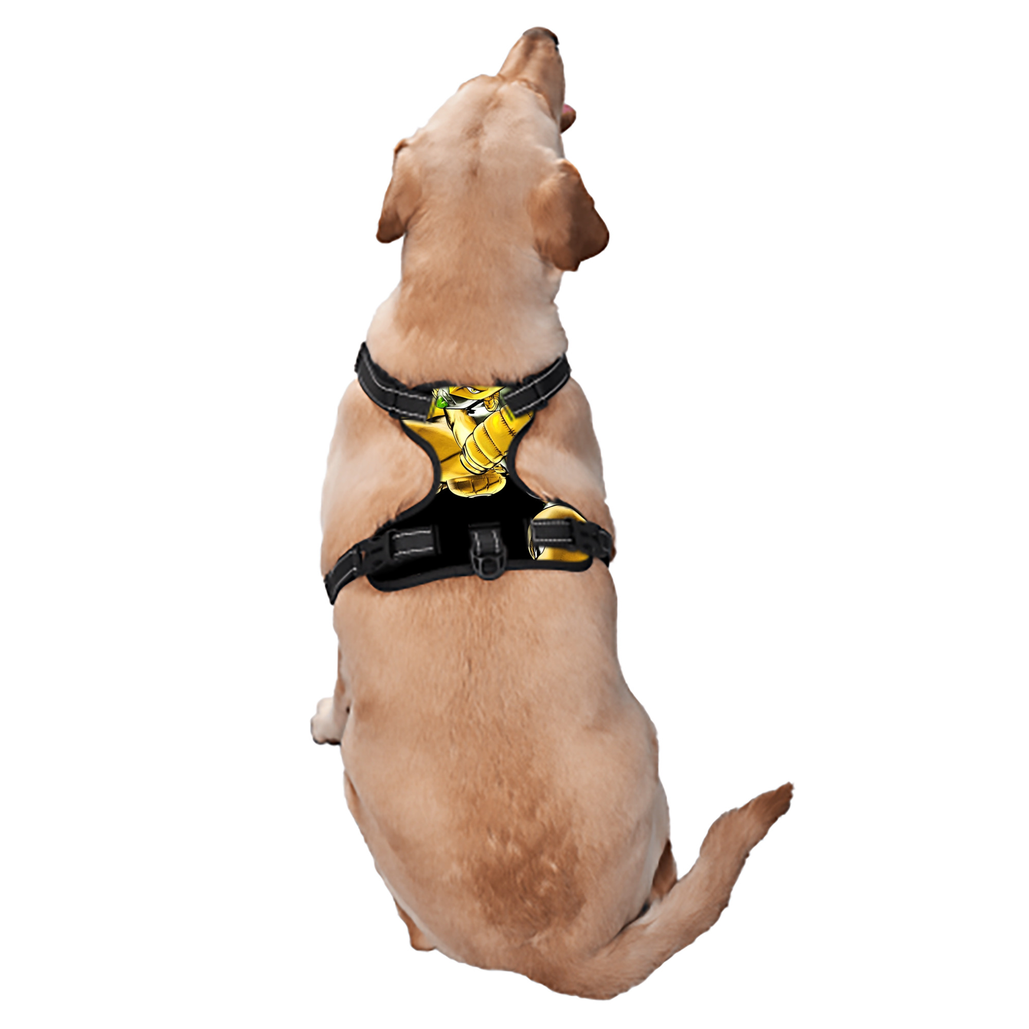 （画像用） ジョジョの奇妙な冒険 ディオ?ブランドー JoJo's Bizarre Adventure Dio Brando ペット用ハーネス